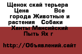 Щенок скай терьера › Цена ­ 20 000 - Все города Животные и растения » Собаки   . Ханты-Мансийский,Пыть-Ях г.